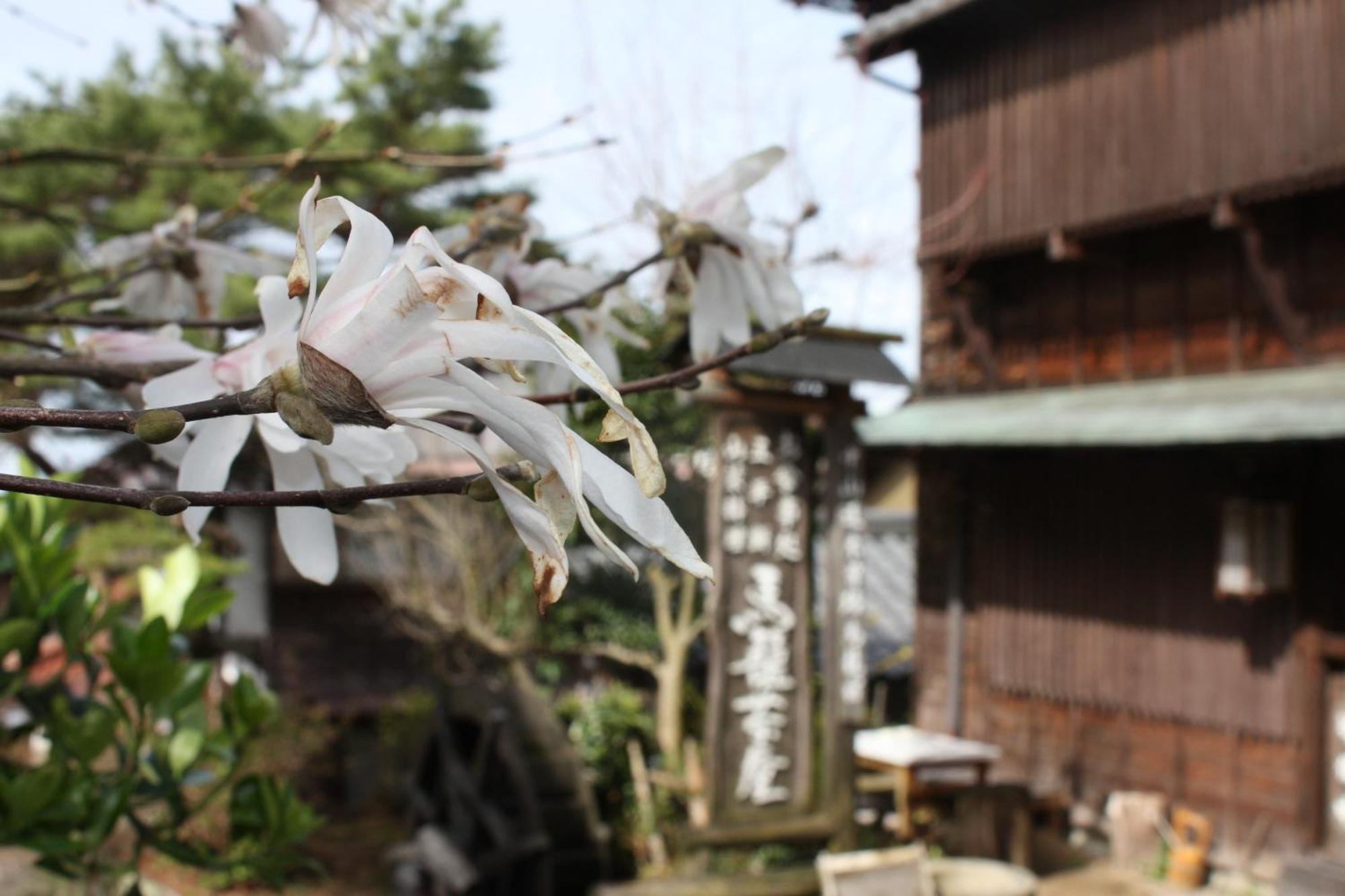 فندق Magome Chaya ناكاتسوغاوا غيفو المظهر الخارجي الصورة