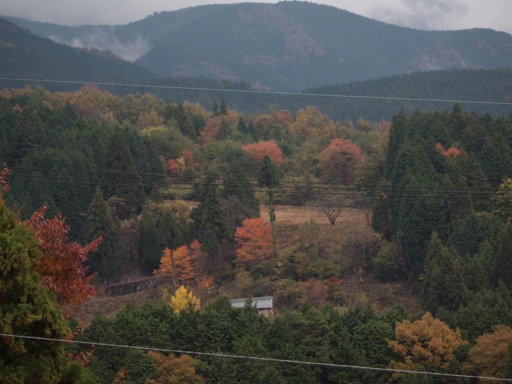 فندق Magome Chaya ناكاتسوغاوا غيفو المظهر الخارجي الصورة